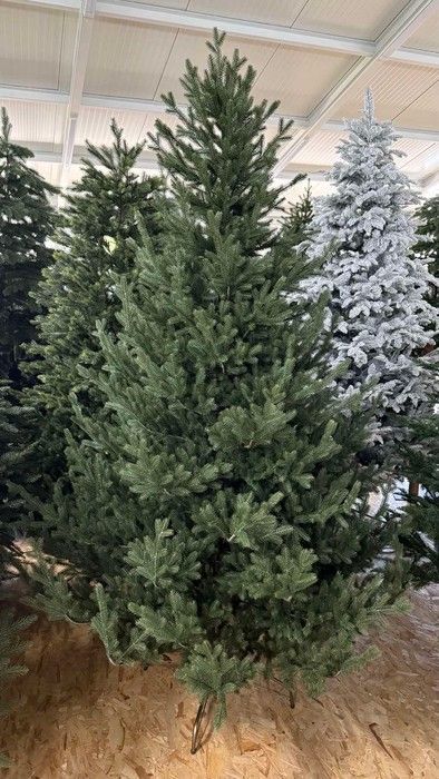 Лаура зелена 🌲 С119-120 фото