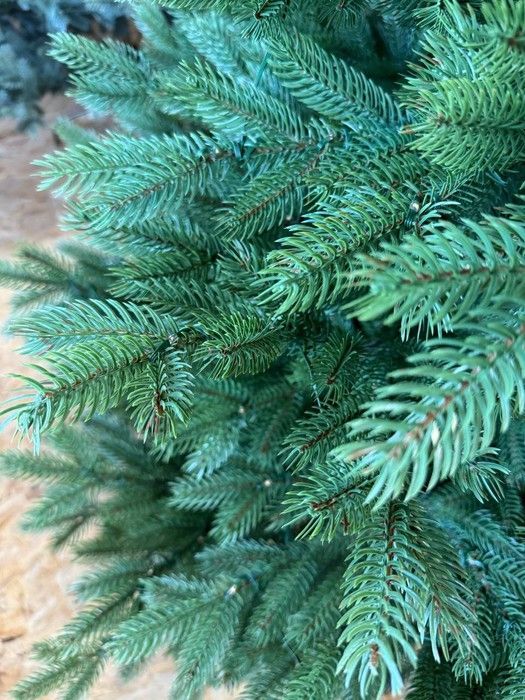 Оскар зеленая 🌲 C115-120 фото