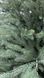 Джулія зелена 🌲 С121-120 фото 13